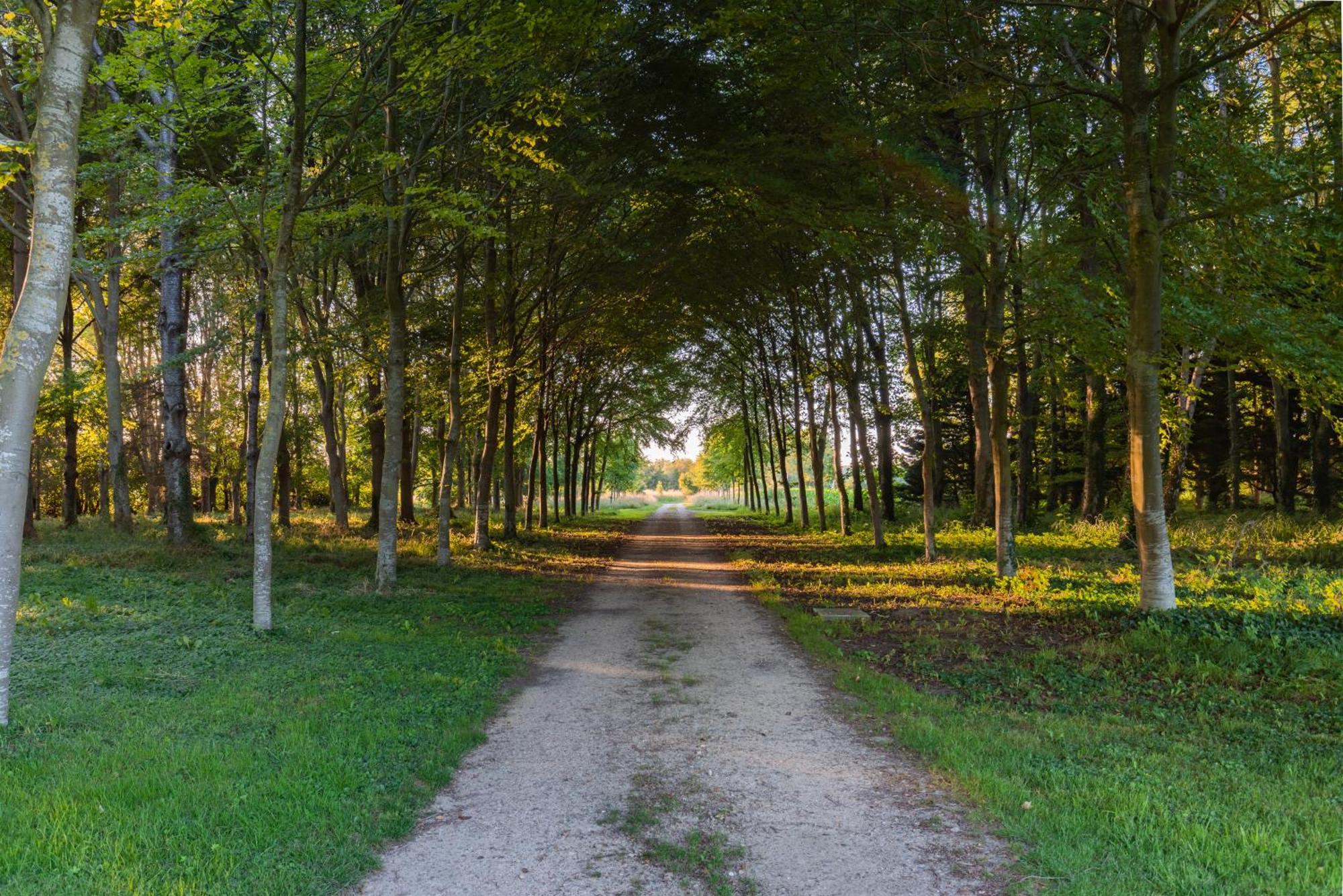 Charmante Chaumiere Romantique Bieville-en-Auge Exteriér fotografie